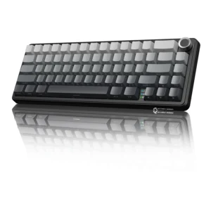Wireless Mechanical Keyboard with Knob, 66 Keys